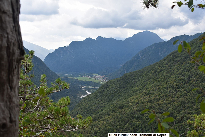 Klicke auf die Grafik für eine vergrößerte Ansicht

Name: DSC_0334.jpg
Ansichten: 83
Größe: 703,8 KB
ID: 3355286