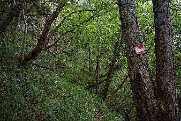 Klicke auf die Grafik für eine vergrößerte Ansicht

Name: DSC_0333.jpg
Ansichten: 81
Größe: 1,18 MB
ID: 3355289