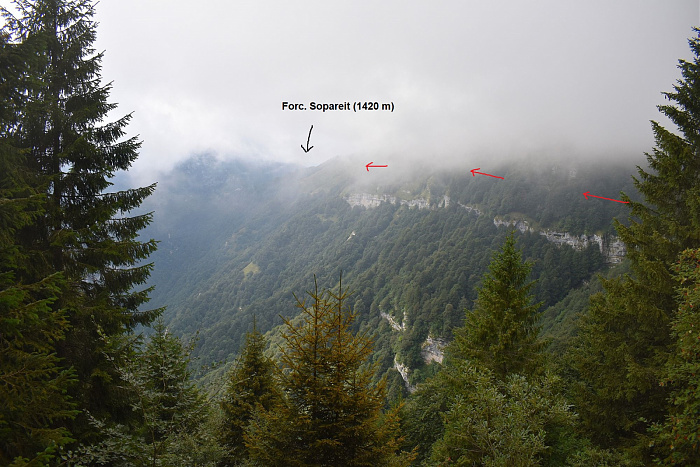 Klicke auf die Grafik für eine vergrößerte Ansicht

Name: DSC_0344.jpg
Ansichten: 85
Größe: 721,3 KB
ID: 3355290