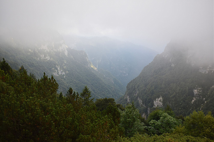 Klicke auf die Grafik für eine vergrößerte Ansicht

Name: DSC_0357.jpg
Ansichten: 82
Größe: 521,3 KB
ID: 3355292