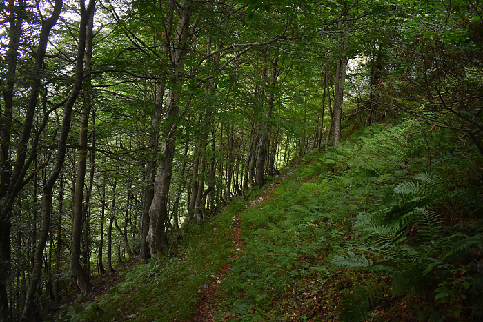 Klicke auf die Grafik für eine vergrößerte Ansicht

Name: DSC_0345.jpg
Ansichten: 81
Größe: 1,14 MB
ID: 3355294