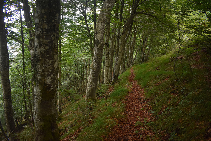 Klicke auf die Grafik für eine vergrößerte Ansicht

Name: DSC_0365.jpg
Ansichten: 81
Größe: 1,03 MB
ID: 3355295