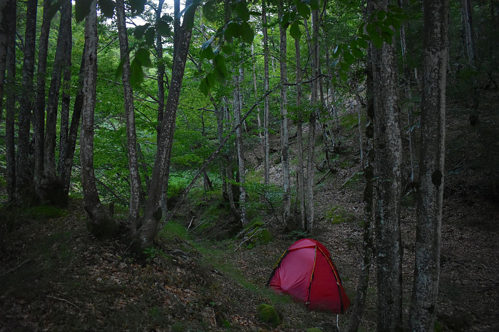 Klicke auf die Grafik für eine vergrößerte Ansicht

Name: DSC_0368.jpg
Ansichten: 82
Größe: 892,6 KB
ID: 3355296