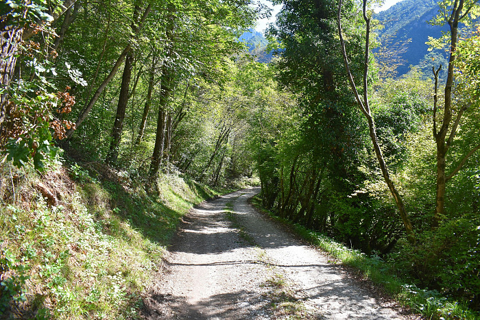 Klicke auf die Grafik für eine vergrößerte Ansicht

Name: DSC_0321.jpg
Ansichten: 82
Größe: 1,52 MB
ID: 3355299