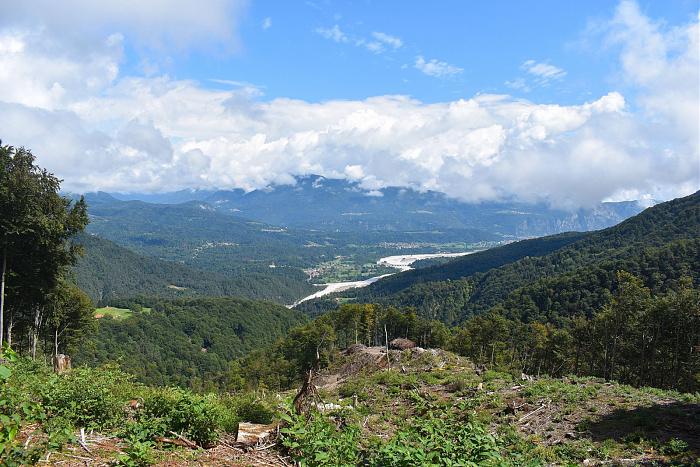 Klicke auf die Grafik für eine vergrößerte Ansicht

Name: DSC_0370.jpg
Ansichten: 80
Größe: 927,3 KB
ID: 3355300