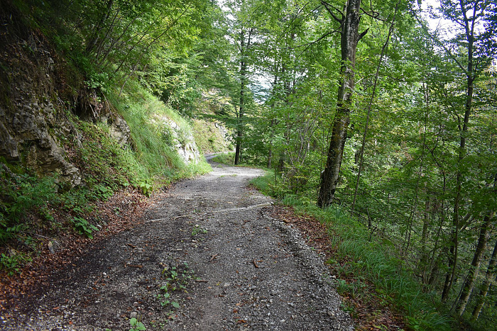 Klicke auf die Grafik für eine vergrößerte Ansicht

Name: DSC_0372.jpg
Ansichten: 83
Größe: 1,42 MB
ID: 3355307