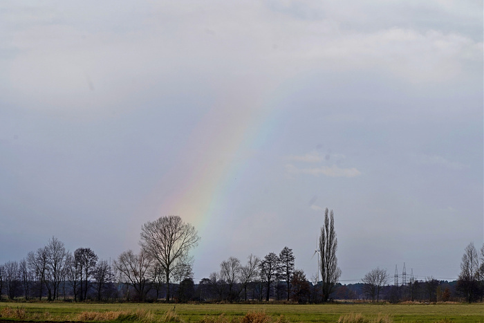 Klicke auf die Grafik für eine vergrößerte Ansicht

Name: Advent_Zweiter_01.jpg
Ansichten: 0
Größe: 392,1 KB
ID: 3355320