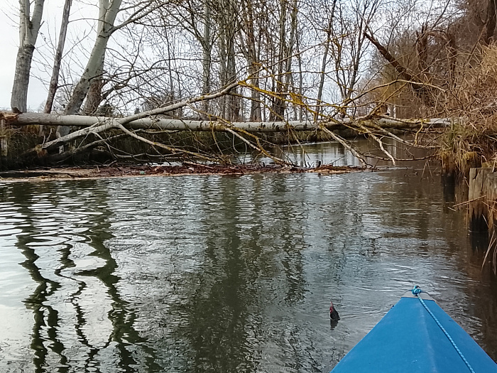 Klicke auf die Grafik für eine vergrößerte Ansicht

Name: IMG_20251207_131256.jpg
Ansichten: 0
Größe: 1,01 MB
ID: 3355330