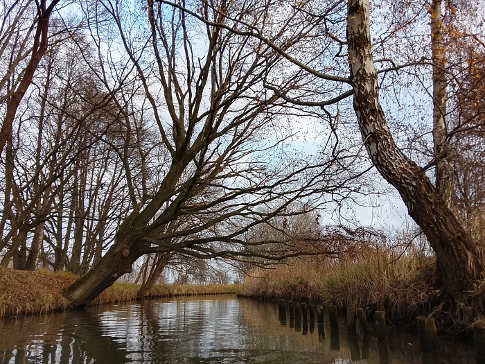 Klicke auf die Grafik für eine vergrößerte Ansicht

Name: IMG_20251207_133423.jpg
Ansichten: 0
Größe: 1,28 MB
ID: 3355332