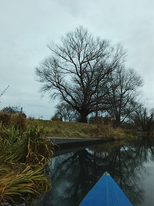 Klicke auf die Grafik für eine vergrößerte Ansicht

Name: IMG_20251207_154450.jpg
Ansichten: 0
Größe: 700,9 KB
ID: 3355348