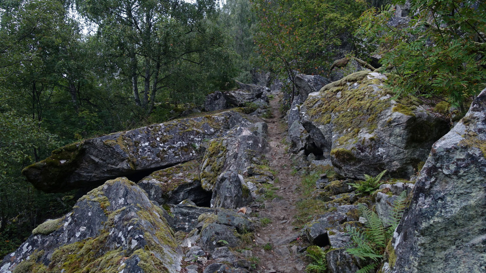 Klicke auf die Grafik für eine vergrößerte Ansicht

Name: 2025 Norge 0672.jpg
Ansichten: 109
Größe: 994,1 KB
ID: 3355394