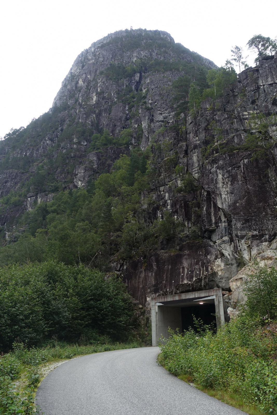 Klicke auf die Grafik für eine vergrößerte Ansicht

Name: 2025 Norge 0669a.jpg
Ansichten: 108
Größe: 881,2 KB
ID: 3355401