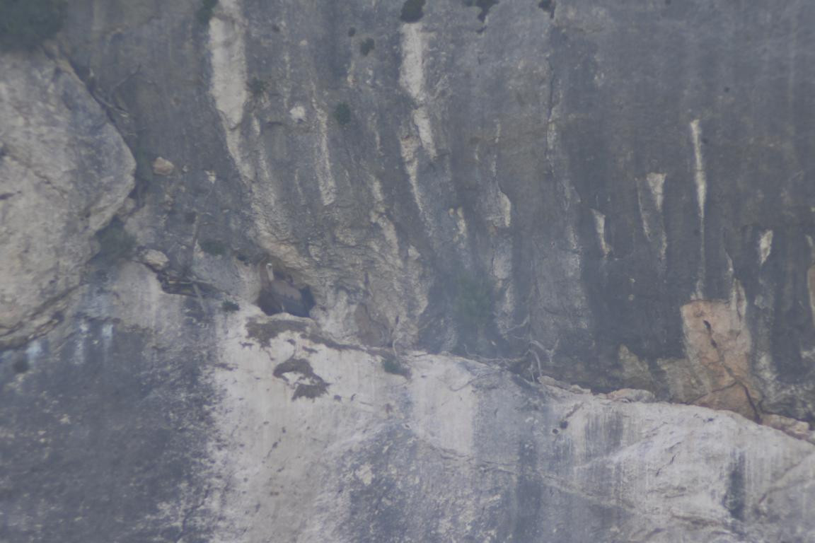 Klicke auf die Grafik für eine vergrößerte Ansicht

Name: DSC_4926.jpg
Ansichten: 66
Größe: 137,1 KB
ID: 3355434