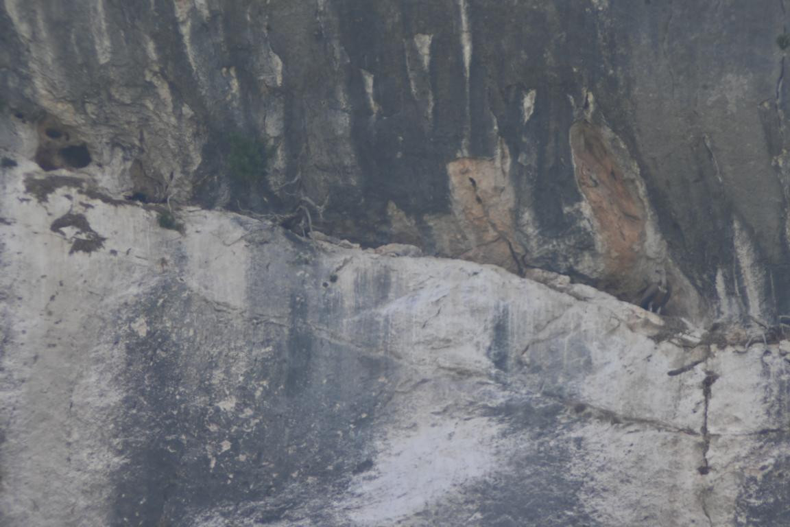 Klicke auf die Grafik für eine vergrößerte Ansicht

Name: DSC_4966.jpg
Ansichten: 63
Größe: 152,5 KB
ID: 3355435