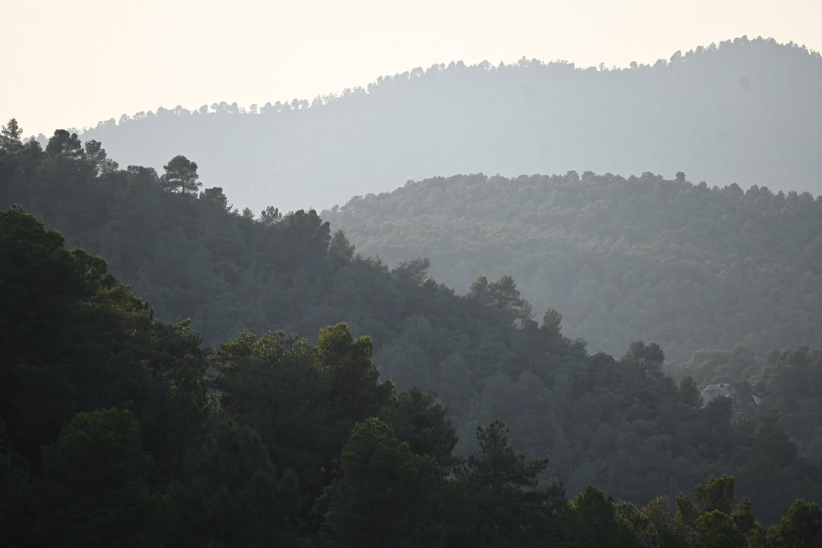 Klicke auf die Grafik für eine vergrößerte Ansicht

Name: DSC_4908.jpg
Ansichten: 62
Größe: 81,3 KB
ID: 3355436