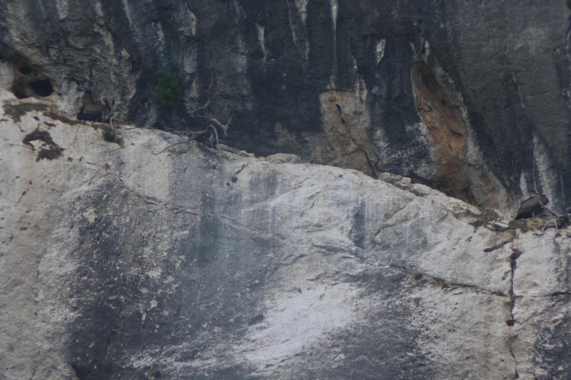 Klicke auf die Grafik für eine vergrößerte Ansicht

Name: DSC_5010.jpg
Ansichten: 62
Größe: 194,5 KB
ID: 3355437