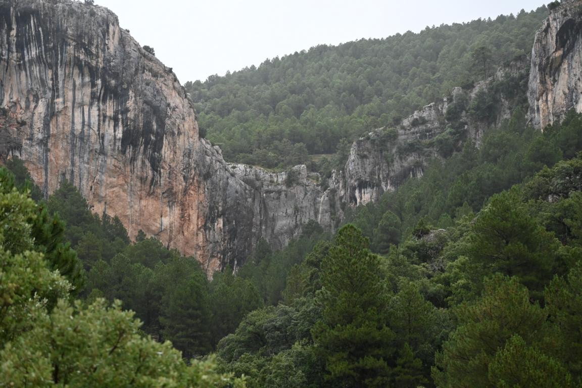 Klicke auf die Grafik für eine vergrößerte Ansicht

Name: DSC_5015.jpg
Ansichten: 63
Größe: 222,4 KB
ID: 3355439