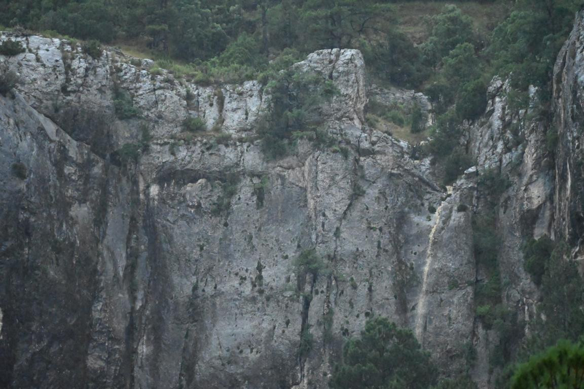 Klicke auf die Grafik für eine vergrößerte Ansicht

Name: DSC_5016.jpg
Ansichten: 63
Größe: 212,1 KB
ID: 3355440