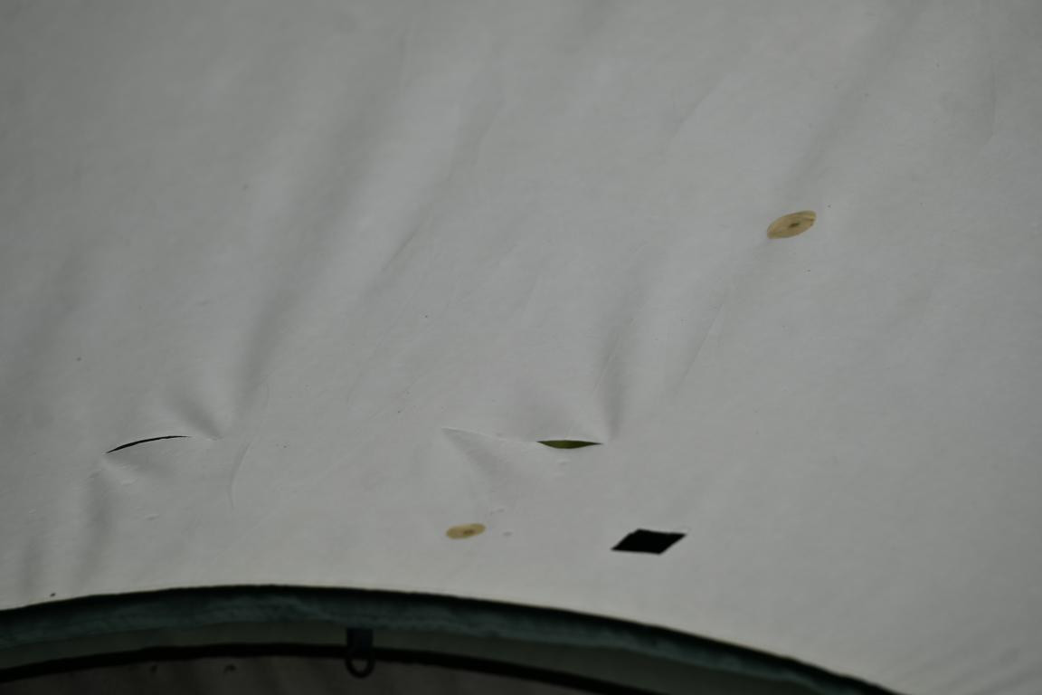 Klicke auf die Grafik für eine vergrößerte Ansicht

Name: DSC_5006.jpg
Ansichten: 61
Größe: 46,1 KB
ID: 3355441