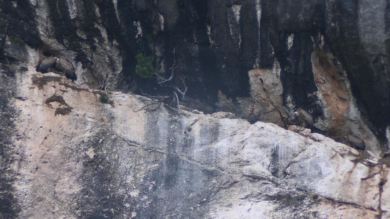 Klicke auf die Grafik für eine vergrößerte Ansicht

Name: DSC_5059.jpg
Ansichten: 63
Größe: 293,5 KB
ID: 3355442