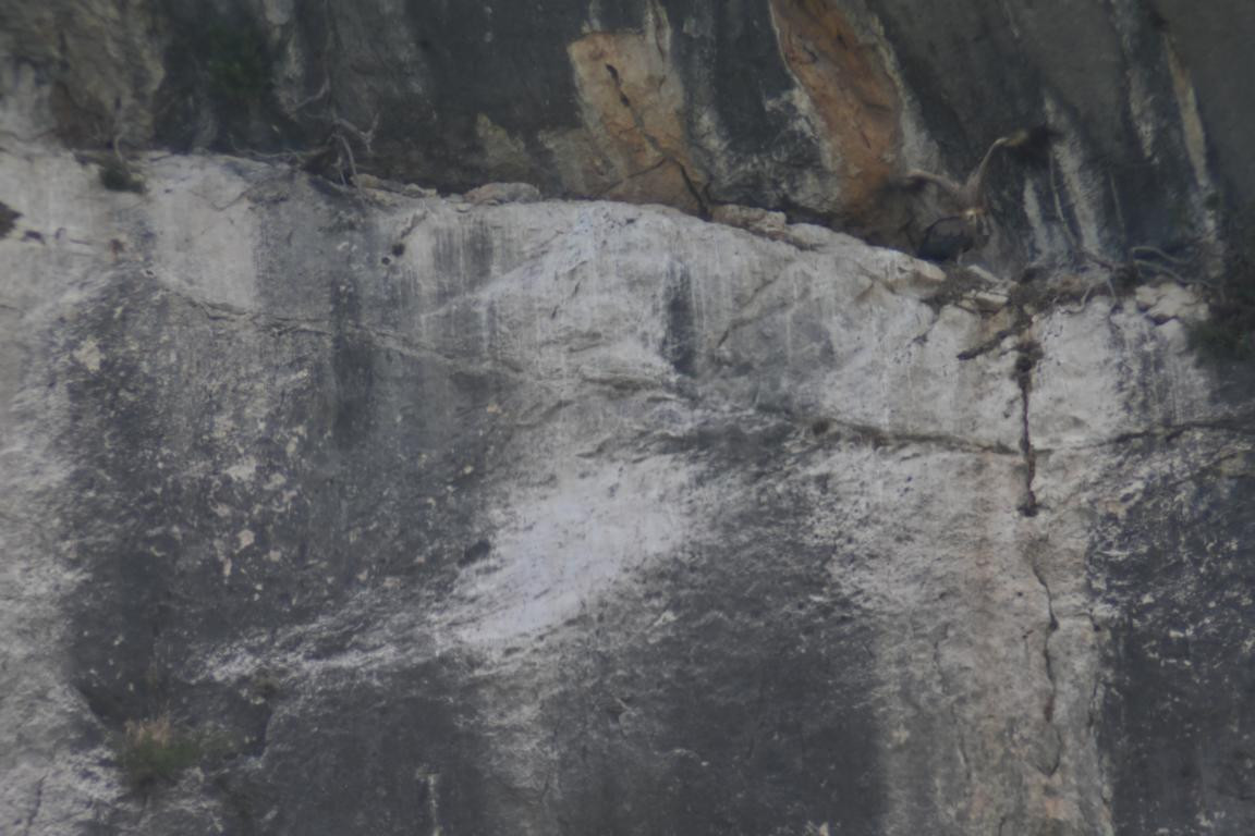 Klicke auf die Grafik für eine vergrößerte Ansicht

Name: DSC_5338.jpg
Ansichten: 62
Größe: 153,6 KB
ID: 3355443