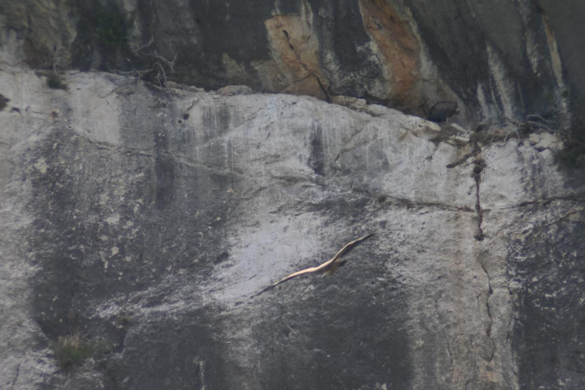 Klicke auf die Grafik für eine vergrößerte Ansicht

Name: DSC_5340.jpg
Ansichten: 62
Größe: 164,0 KB
ID: 3355444