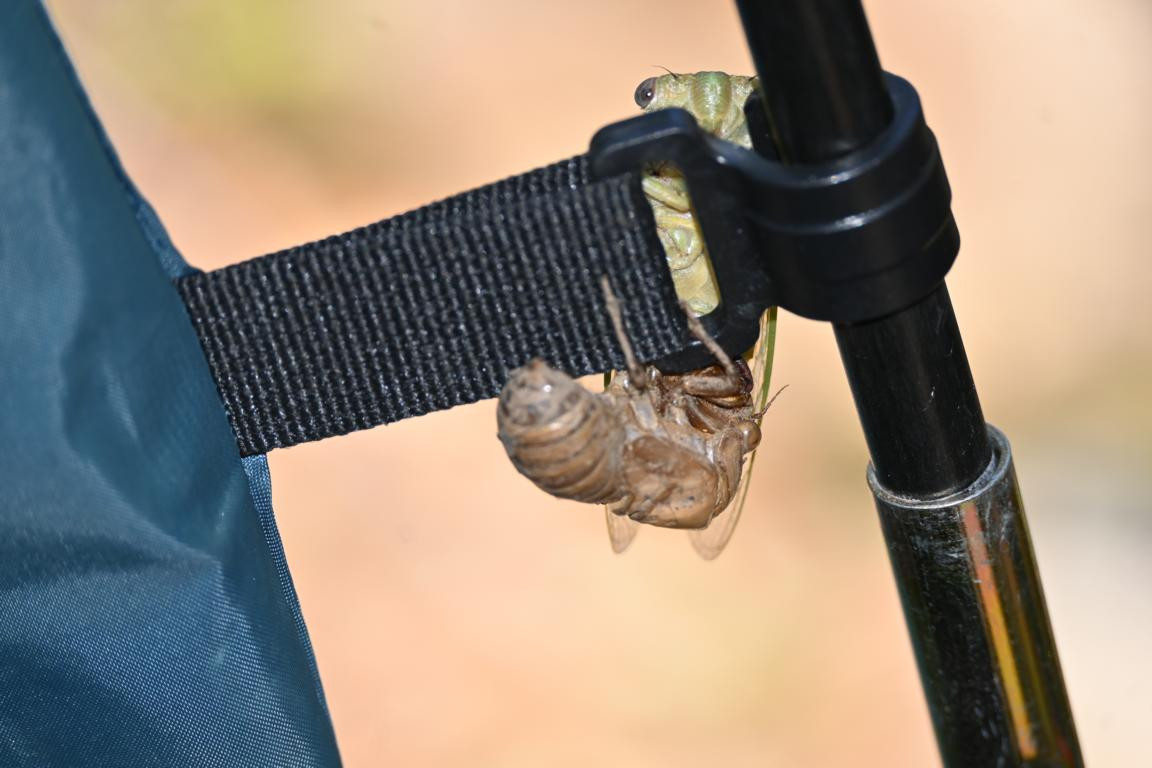 Klicke auf die Grafik für eine vergrößerte Ansicht

Name: DSC_5083.jpg
Ansichten: 63
Größe: 127,3 KB
ID: 3355445