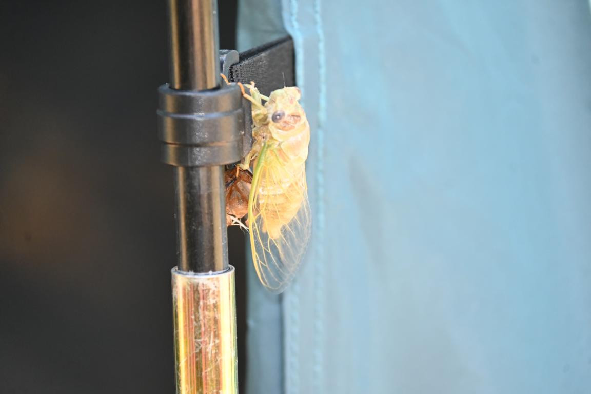 Klicke auf die Grafik für eine vergrößerte Ansicht

Name: DSC_5085.jpg
Ansichten: 62
Größe: 78,0 KB
ID: 3355446