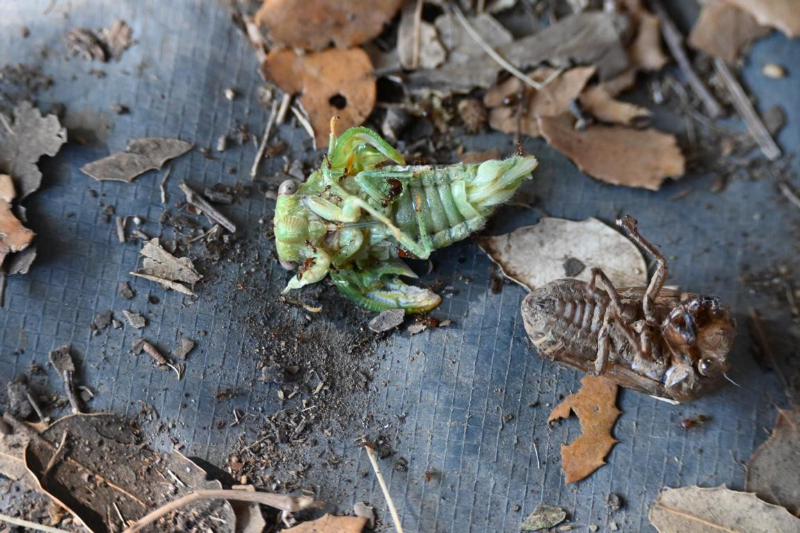 Klicke auf die Grafik für eine vergrößerte Ansicht

Name: DSC_5154.jpg
Ansichten: 64
Größe: 251,1 KB
ID: 3355448