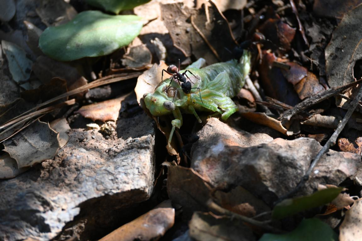 Klicke auf die Grafik für eine vergrößerte Ansicht

Name: DSC_5208.jpg
Ansichten: 63
Größe: 197,9 KB
ID: 3355449