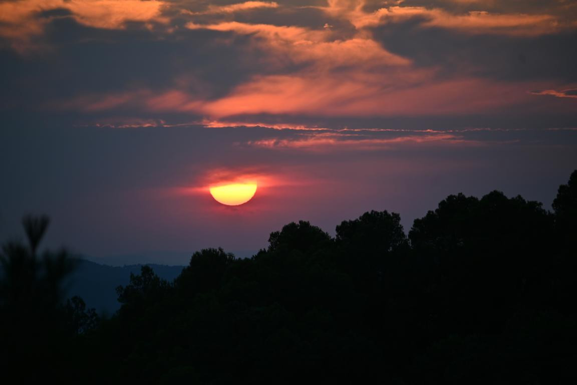 Klicke auf die Grafik für eine vergrößerte Ansicht

Name: DSC_5235.jpg
Ansichten: 62
Größe: 68,7 KB
ID: 3355450