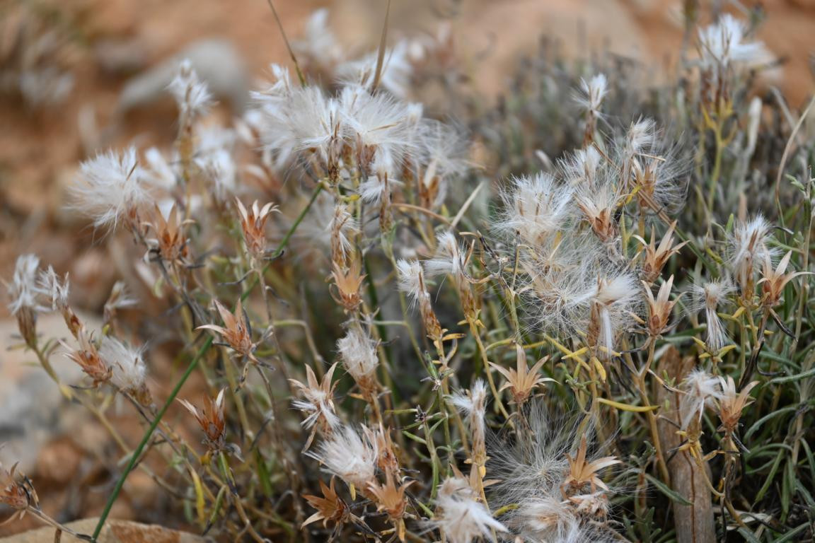 Klicke auf die Grafik für eine vergrößerte Ansicht

Name: DSC_5346.jpg
Ansichten: 63
Größe: 231,8 KB
ID: 3355451