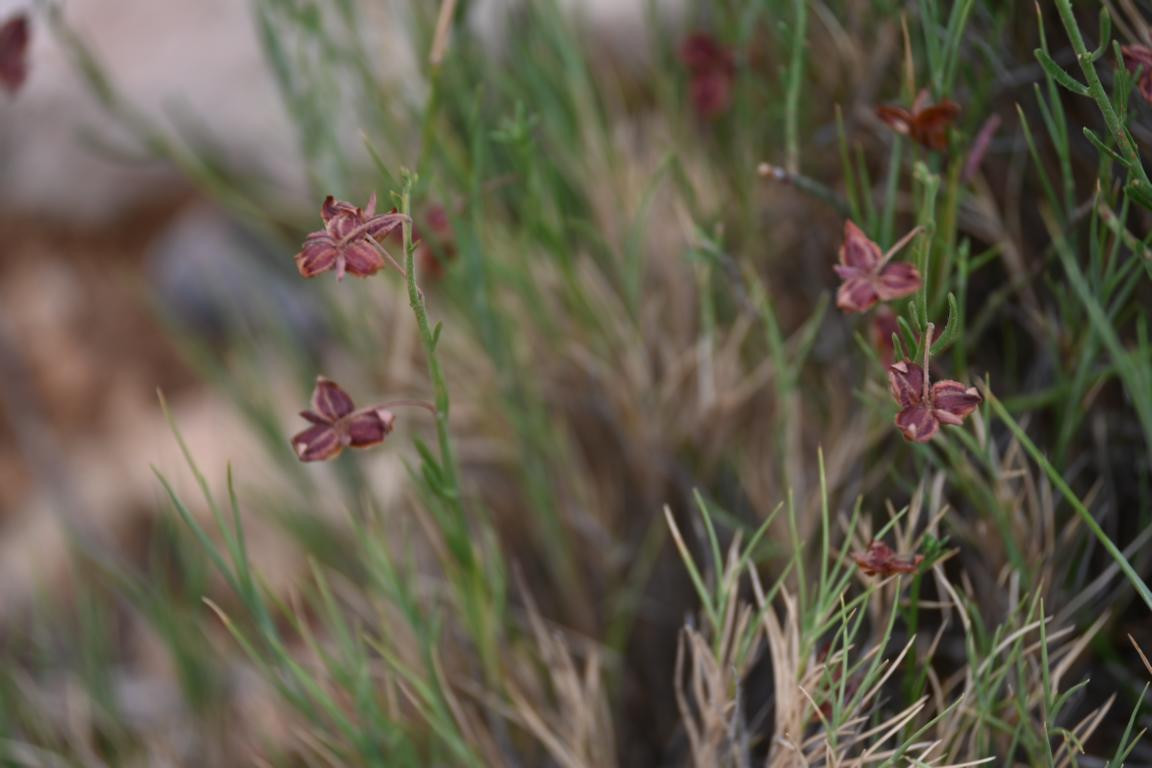 Klicke auf die Grafik für eine vergrößerte Ansicht

Name: DSC_5348.jpg
Ansichten: 62
Größe: 133,0 KB
ID: 3355452