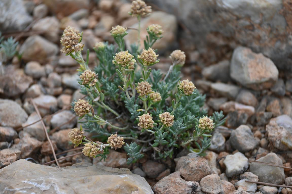 Klicke auf die Grafik für eine vergrößerte Ansicht

Name: DSC_5372.jpg
Ansichten: 62
Größe: 191,5 KB
ID: 3355458