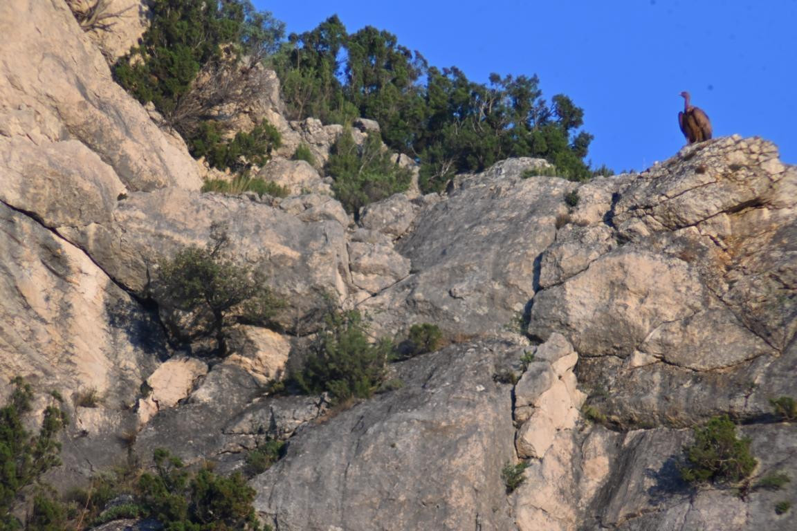 Klicke auf die Grafik für eine vergrößerte Ansicht

Name: DSC_5424.jpg
Ansichten: 63
Größe: 250,0 KB
ID: 3355460