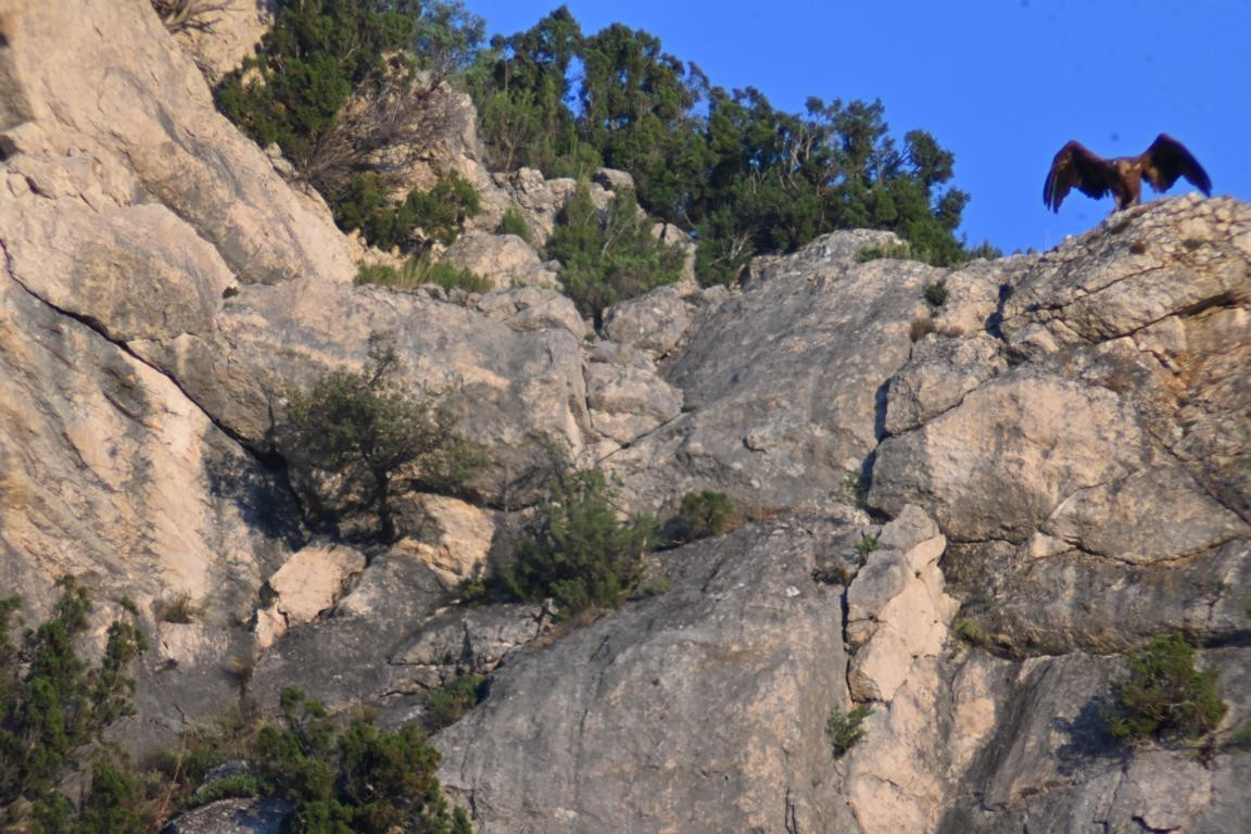 Klicke auf die Grafik für eine vergrößerte Ansicht

Name: DSC_5426.jpg
Ansichten: 63
Größe: 254,4 KB
ID: 3355461