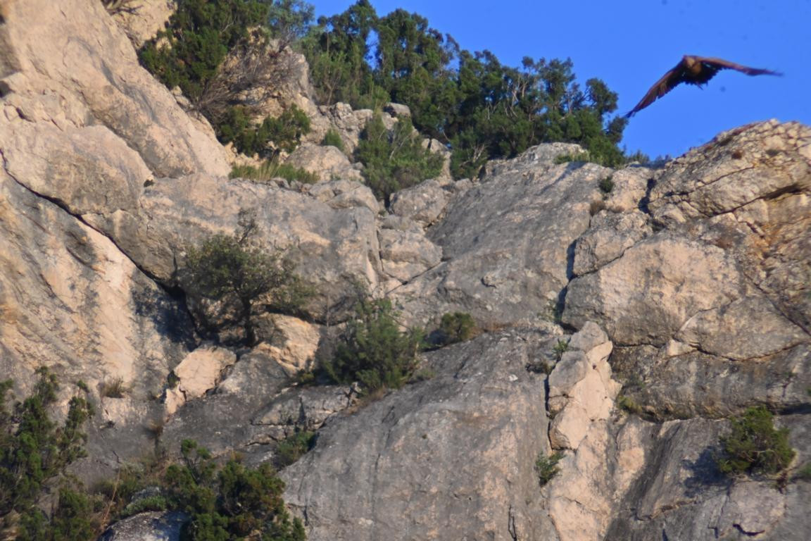 Klicke auf die Grafik für eine vergrößerte Ansicht

Name: DSC_5427.jpg
Ansichten: 63
Größe: 256,2 KB
ID: 3355462