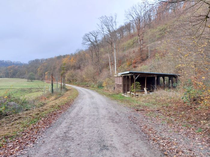 Klicke auf die Grafik für eine vergrößerte Ansicht

Name: 20251118_154957a.jpg
Ansichten: 0
Größe: 151,4 KB
ID: 3355495