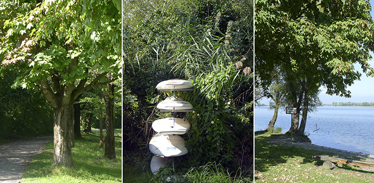 Klicke auf die Grafik für eine vergrößerte Ansicht

Name: WAI_09_Rhein.jpg
Ansichten: 176
Größe: 206,3 KB
ID: 3355591