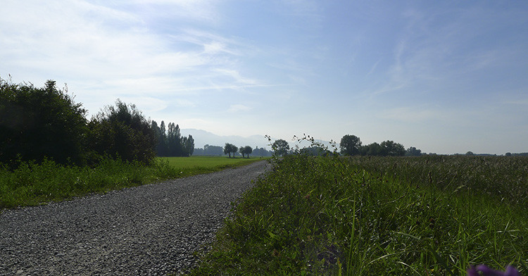 Klicke auf die Grafik für eine vergrößerte Ansicht

Name: WAI_10_Rheinauen.jpg
Ansichten: 175
Größe: 103,1 KB
ID: 3355592