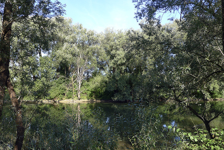 Klicke auf die Grafik für eine vergrößerte Ansicht

Name: WAI_13_Schweiz.jpg
Ansichten: 174
Größe: 283,9 KB
ID: 3355595