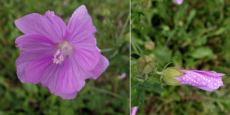 Klicke auf die Grafik für eine vergrößerte Ansicht

Name: WAI_20_Schweiz.jpg
Ansichten: 165
Größe: 92,3 KB
ID: 3355610