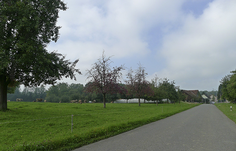 Klicke auf die Grafik für eine vergrößerte Ansicht

Name: WAI_21_Schweiz.jpg
Ansichten: 165
Größe: 133,5 KB
ID: 3355611