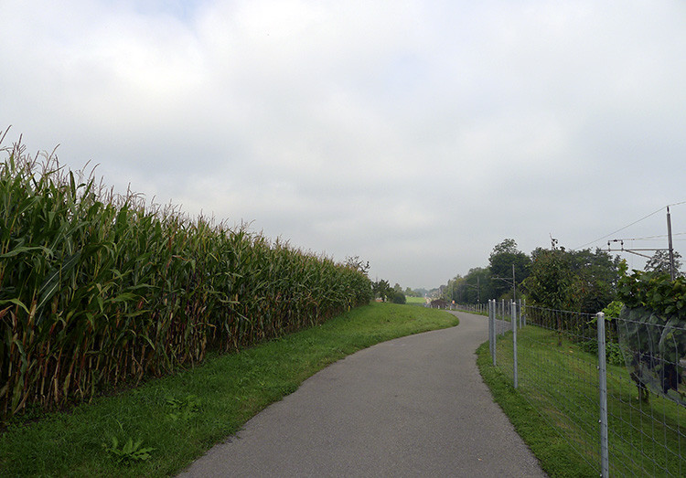 Klicke auf die Grafik für eine vergrößerte Ansicht

Name: WAI_22_Schweiz.jpg
Ansichten: 166
Größe: 124,8 KB
ID: 3355612