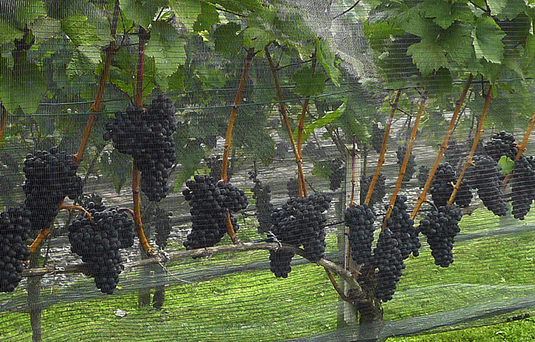 Klicke auf die Grafik für eine vergrößerte Ansicht

Name: WAI_23_Schweiz.jpg
Ansichten: 170
Größe: 236,3 KB
ID: 3355613