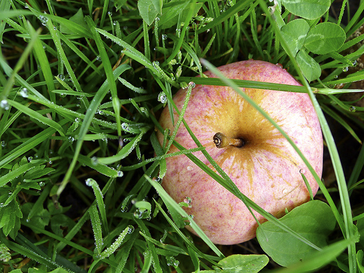 Klicke auf die Grafik für eine vergrößerte Ansicht

Name: WAI_24_Schweiz.jpg
Ansichten: 167
Größe: 236,7 KB
ID: 3355614