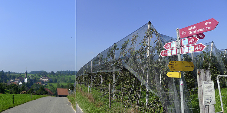 Klicke auf die Grafik für eine vergrößerte Ansicht

Name: WAI_29_Schweiz.jpg
Ansichten: 164
Größe: 122,0 KB
ID: 3355616