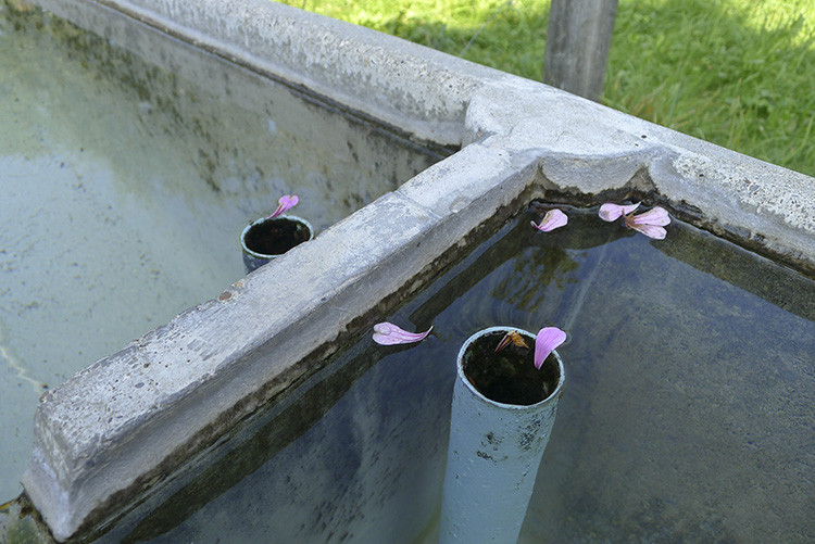 Klicke auf die Grafik für eine vergrößerte Ansicht

Name: WAI_31_Schweiz.jpg
Ansichten: 169
Größe: 133,9 KB
ID: 3355618