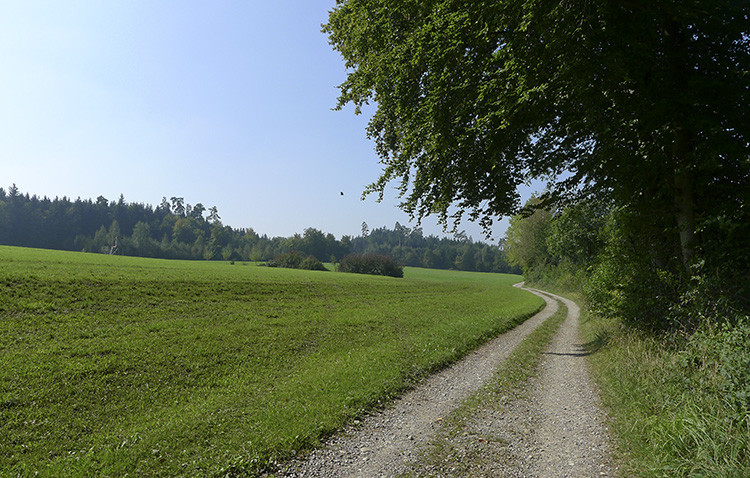 Klicke auf die Grafik für eine vergrößerte Ansicht

Name: WAI_32_Schweiz.jpg
Ansichten: 166
Größe: 182,3 KB
ID: 3355619