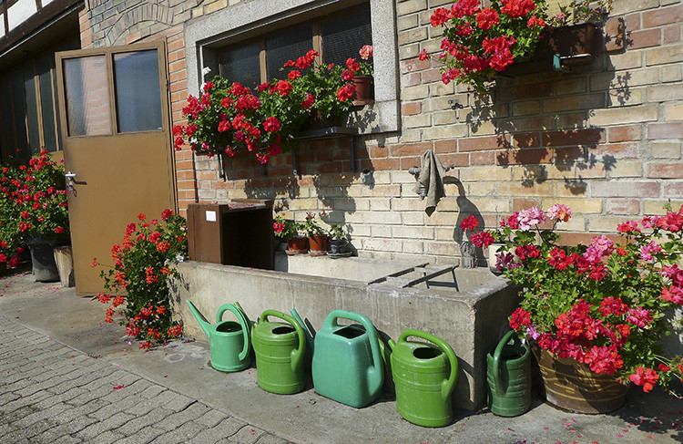 Klicke auf die Grafik für eine vergrößerte Ansicht

Name: WAI_34_Schweiz.jpg
Ansichten: 168
Größe: 223,8 KB
ID: 3355621